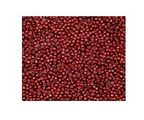 8/0 Toho Brick Red Galvanized Permafinish, color PF564 Round Seed Bead 10g .(Cabernet)